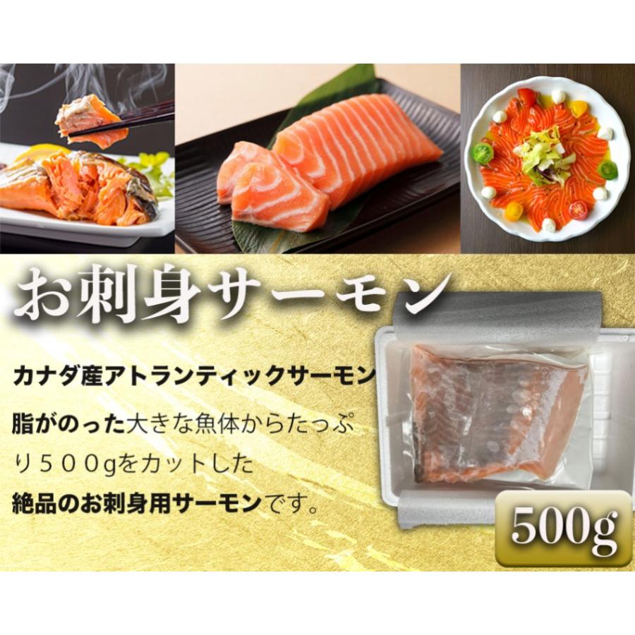 カナダ産アトランティックサーモン　お刺身用　500g