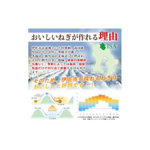 ふるさと納税 鹿児島県 伊佐市 isa410 米どころ伊佐の水田跡地で作った伊佐ねぎ(計3kg・2Lサイズ)保存がきくよう土付きで配送！