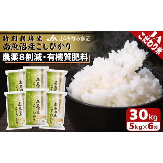 令和5年産 南魚沼産こしひかり 30kg 特別栽培米 新米 精米 減農薬 魚沼産-