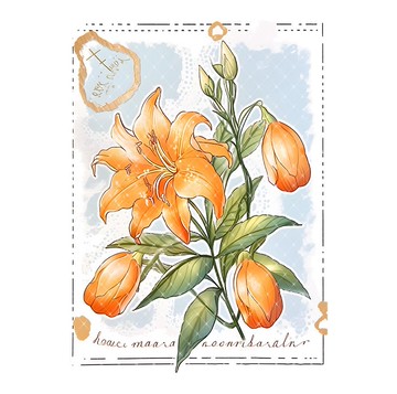 收合千戲 PET 紙膠帶 貝殼光