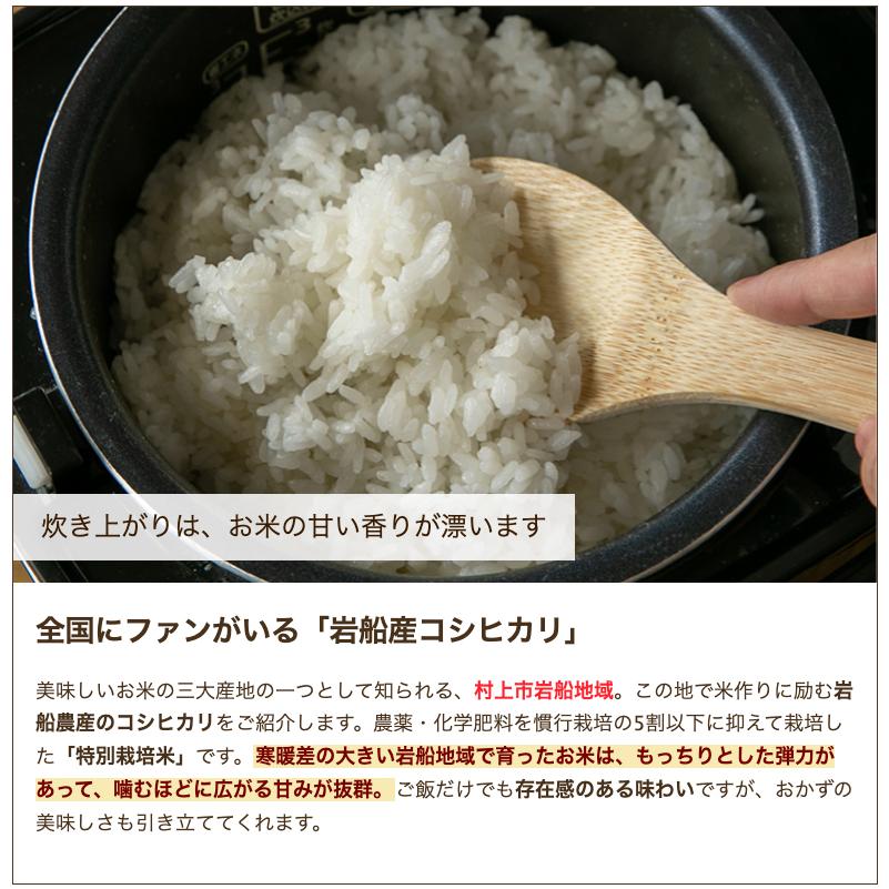 特別栽培米（減農薬・減化学肥料）岩船産コシヒカリ 精米10kg 岩船農産 送料無料