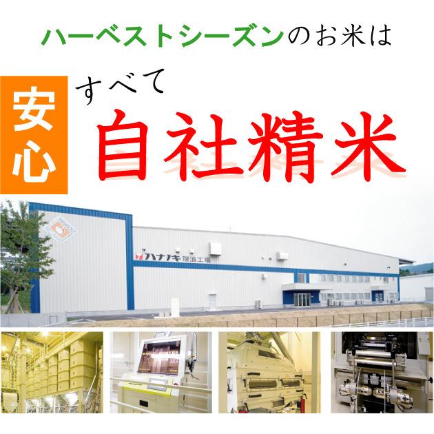 ポイント5倍 数量限定 新米 無洗米 10kg 5kg×2袋 なつひかり 高知県産 令和5年産 送料無料（SL）