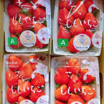 【帕查嬤嬤】🇯🇵日本 德島 櫻花水蜜桃 草莓 ももいちご 家庭號｜日本草莓禮盒