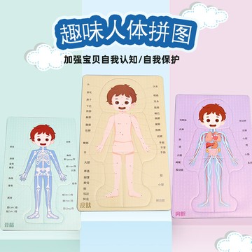 台灣出貨 科學實驗DIY 科技小製作DIY人體器官消化系統拼圖KT內臟拼圖模型科學實驗材料