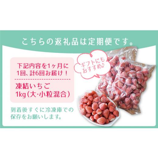 ふるさと納税 佐賀県 江北町 王様のいちご 摘みたてこおりいちご 1kg 冷凍いちご いちごさん さがほのか [HAF012]