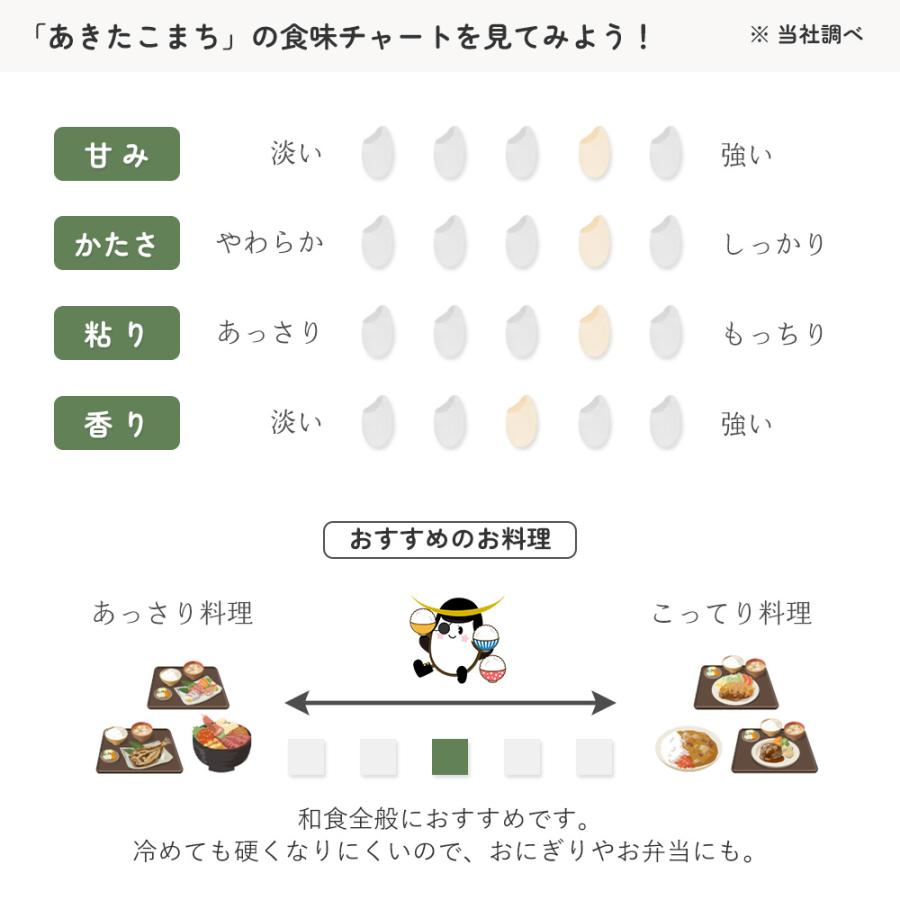 無洗米 あきたこまち 10kg(5kg×2袋) 秋田県産 令和5年産