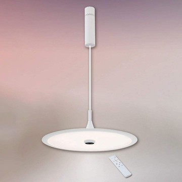 36W遙控吊燈 B102-81-21182