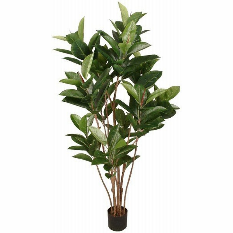 観葉植物 造花 ディスプレイ ゴムの木 150cm イベント 装飾 店舗装飾 ディスプレイ 通販 Lineポイント最大0 5 Get Lineショッピング