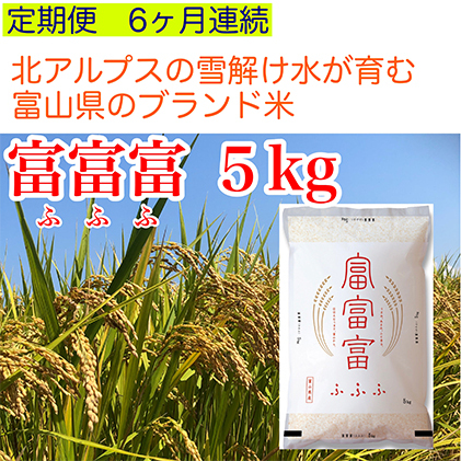 富山米「富富富」5kg（白米）