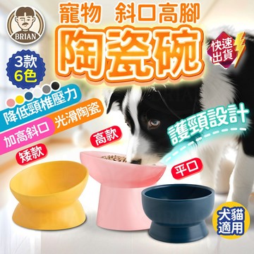 寵物碗【布萊恩👨🏻隔日到貨】陶瓷水碗 陶瓷斜口碗 護頸碗 貓碗 狗碗 高腳寵物碗 貓食盆 高腳護頸碗 貓咪陶瓷碗 餵食盆