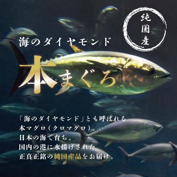 マグロ セット 大トロ 中トロ 赤身 柵 刺身 本マグロ 鮪 まぐろ 冷蔵 生本まぐろ ブロック 各300g 送料無料 内祝い お歳暮 プレゼント ギフト 年末年始