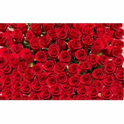 《記念日に届くお花シリーズ》赤バラの花束 365本「あなたが毎日恋しい」※配達エリア限定