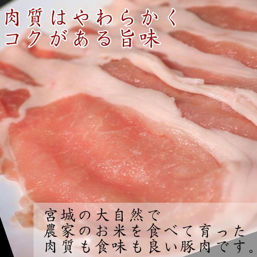 宮城野ポークみのり しゃぶしゃぶ用 肩ロース 豚肉 500g 宮城 国産 ギフト お祝い お中元 お歳暮