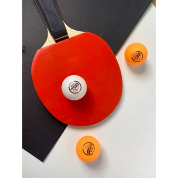 乒乓球 ABS 練習球 桌球