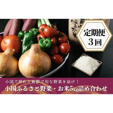 ふるさと納税 阿蘇小国産・旬の野菜とお米5kgの詰め合わせ 熊本県小国町