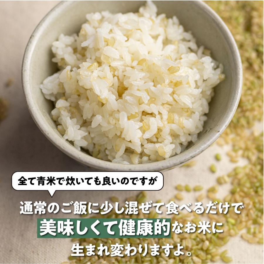 令和5年産 新米 金賞農家の飛騨産 若玄米 緑色玄米 青米 2.7kg 900g×3袋 青玄米 青の玄米 玄米 健康米 飛騨の米 米 みつわ農園 農家直送 送料無料