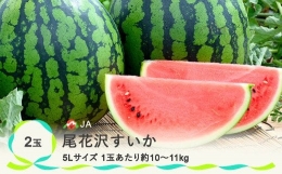 先行予約 尾花沢すいか 5Lサイズ 約10㎏×2玉 7月下旬～8月10日頃発送 2024年産 令和6年産 JA ja-su5xx2