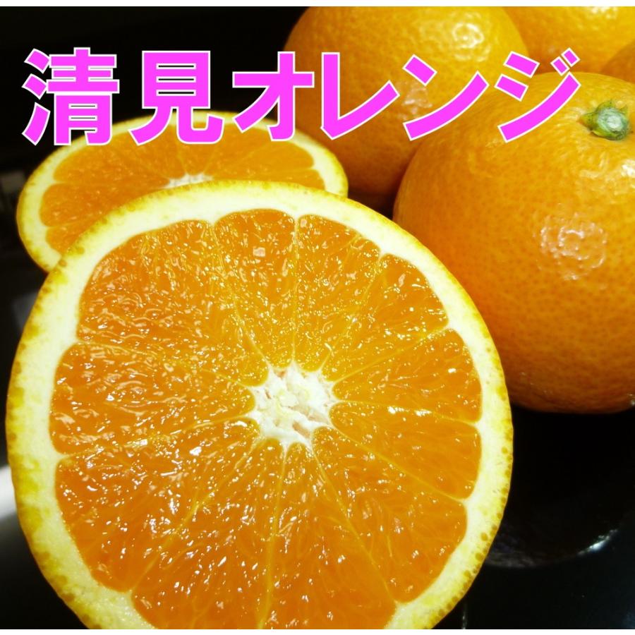 清見オレンジ 4.5kg×２箱  家庭用 訳あり　清見タンゴール 送料無料 清見オレンジ