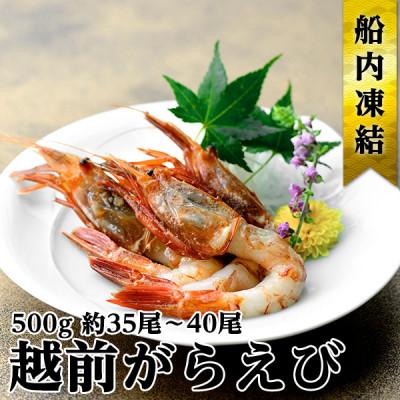 ふるさと納税 若狭町 越前ガラエビ　500g(約35-40尾)