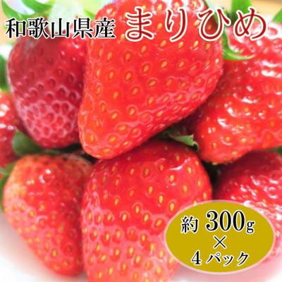 ふるさと納税 広川町 和歌山県産ブランドいちご「まりひめ」約300g×4パック入り(広川町)