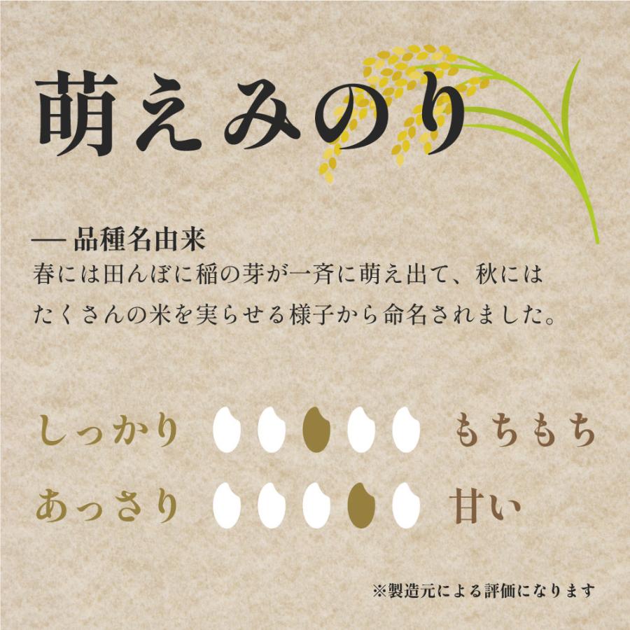 令和5年度 新米 お米 10kg 萌えみのり 米 5kg 2袋セット 宮城 国産 白米 日本産