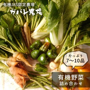 ガバレ農場の季節の有機野菜詰め合わせセット