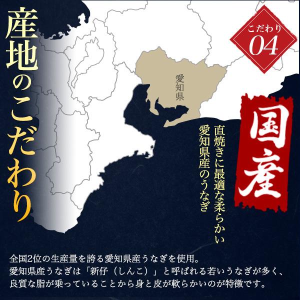 うなぎ 朝じめ 蒲焼きor白焼き 国産 超特大 200〜250g×2尾 朝焼き 鰻 愛知県産 冷蔵 贈答 ギフト お中元 お歳暮 熨斗対応可 お取り寄せ グルメ