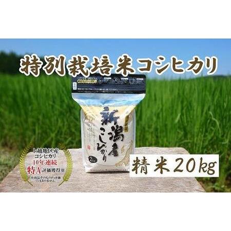 ふるさと納税 令和5年産｜新潟上越三和産｜特別栽培米コシヒカリ（従来種）20kg（2kg×10）精米 新潟県上越市