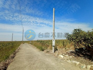 (專約)義竹1815黃金大田地/一般農業區｜嘉義縣義竹鄉義竹段義竹小段