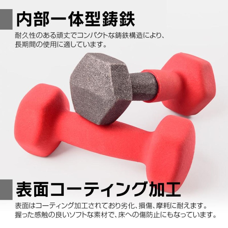 ダンベル 2個セット 鉄アレイ 5kg 筋トレ 筋力 トレーニング