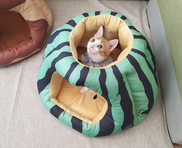 雙開口暖屋- 吃一口小玉西瓜 寵物床