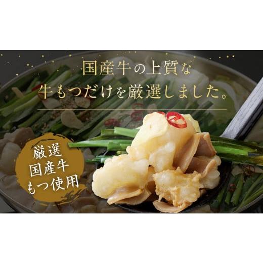 ふるさと納税 福岡県 宗像市 食べ比べ 博多 もつ鍋 2種 醤油 味噌 (2〜3人前×2セット)もつ鍋 福岡 人気 もつ もつ鍋セット 牛もつ もつなべ 宗…