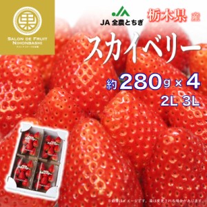 [予約 2024年1月4日-1月10日の納品] スカイベリーいちご 2L 3Lサイズ 約280g × 栃木県産 お年賀 御年賀