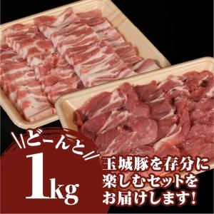 ふるさと納税 玉城豚焼肉セット 三重県玉城町