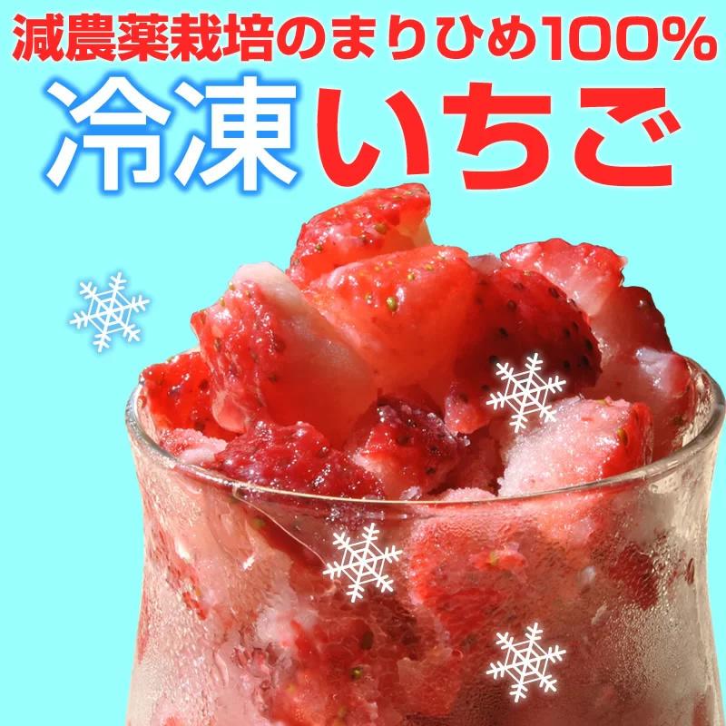 『冷凍いちご500g』 クール冷凍便 和歌山産 まりひめ 減農薬