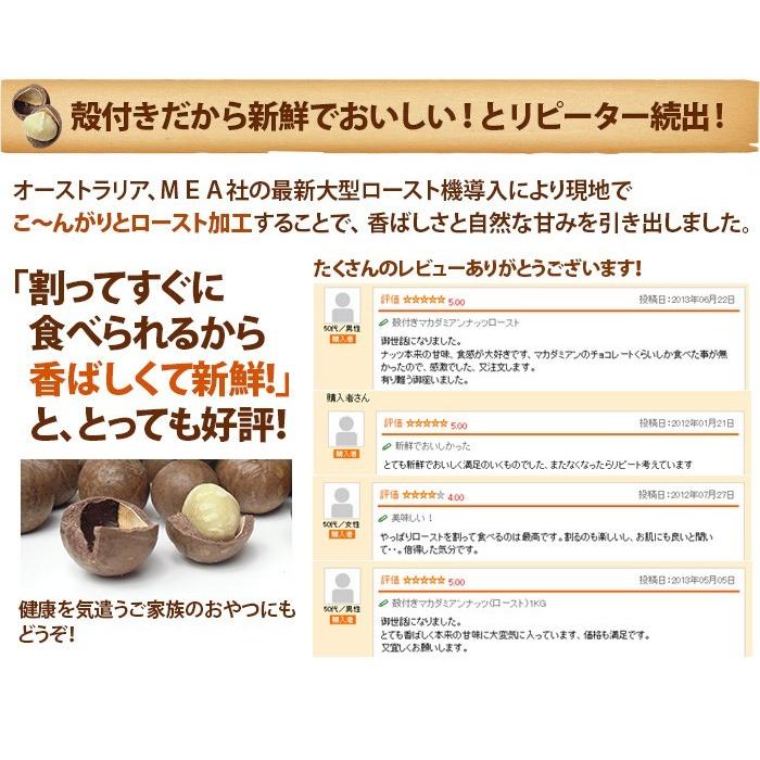 殻付きマカダミアナッツ (ロースト) 600g 専用殻割り器付きセット