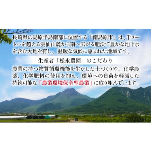 ふるさと納税 長崎県 南島原市 シャインマスカット 約2kg（約2〜5房）／ ぶどう ブドウ 葡萄 マスカット フルーツ 果物 ／ 南島原市 ／ 長崎県農産品流通合同…