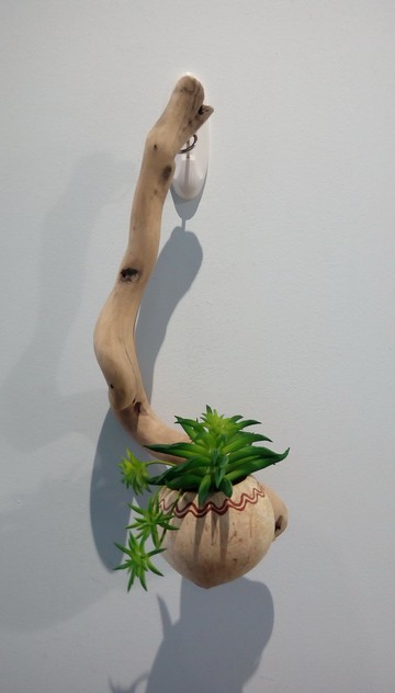 小綠綠與木木  黑手指朋友好禮 居家妝點 浪漫省時省力又美麗