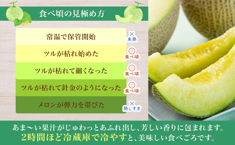 北海道 青肉メロン 月雫 秀品 1玉 約1.6kg メロン 果物 フルーツ 旬 季節 希少 甘い 豊潤 国産 北海道産 デザート ご褒美 産地直送 産直 ギフト お祝い 贈答品 贈り物 お中元 常温 お取り寄せ 送料無料