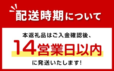 《7営業日以内に発送》大地の恵み北海道オニオンスープ 4袋×1箱 玉ねぎ スープ たまねぎ 小分け オニオン ふるさと納税 即席 簡単 粉末 調味料