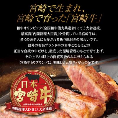 ふるさと納税 高原町  宮崎牛キングセット(2.6kg) 　特産品番号287