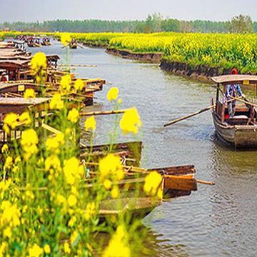 最美千島垛水上油菜花黿頭渚櫻花谷8日-文化交流團