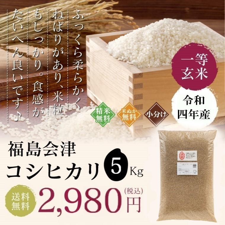 新米 米 お米 ５kg 福島会津産 コシヒカリ 無洗米 送料無料 特A 精米 令和５年 一等米