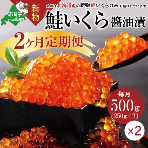 新物 数量限定 贅沢堪能 北海道産 新物 鮭いくら醤油漬け 合計 1kg 500g を 2ヶ月 お届け ＜いくら丼12～16杯分！＞　鱒（マス）ではなく、北海道産の鮭（サケ）のいくらです いくら 醤油漬け 北海道 小分け 海鮮（ いくら イクラ 鮭卵 定期便 醤油漬け 北海道 人気 ふるさと納税  ）