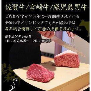 極上 サーロイン スライス 400g しゃぶしゃぶ肉 しゃぶしゃぶ用 佐賀牛 宮崎牛 A5 最高級 黒毛和牛