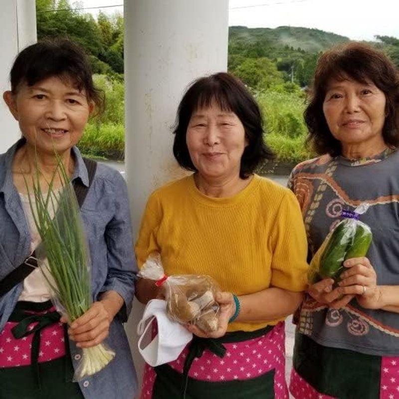 農薬・化学肥料不使用 旬のとれたて野菜10品目