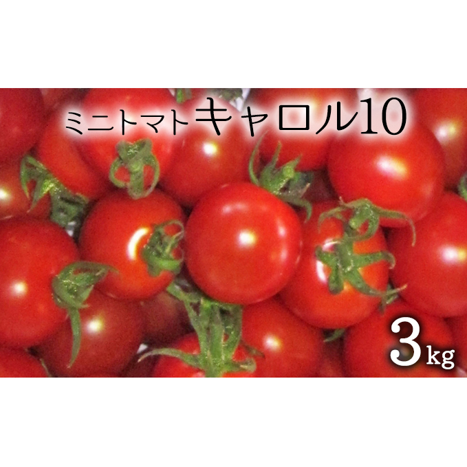 先行受付 2024年8月出荷 北海道 仁木町産 ミニトマト 3kg （品種： キャロル10 ）