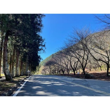 宜蘭旅遊｜連休出遊.最高折5百｜超萌可愛動物.梨山希利克.武陵農場.長埤湖.林鐵文創.阿嬤的蜜餞.英仕山莊三日｜台中出發_26XGYLNIDH