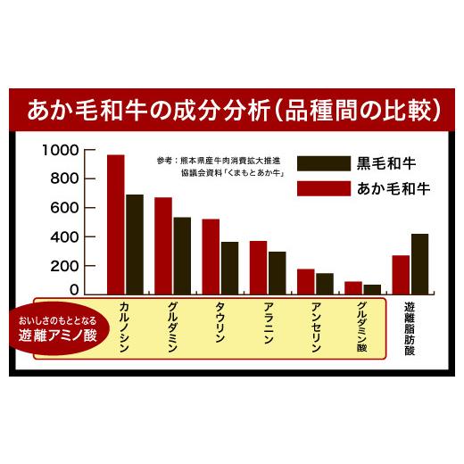 ふるさと納税 熊本県 人吉市 熊本県産 あか牛 モモステーキ 合計500g(250g×2パック) 和牛 牛肉