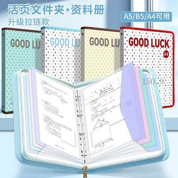 🌟臺灣出貨🌟高顏值文件夾試卷收納袋a4資料夾透明插頁卷子大容量活頁收納冊 資料夾 文件夾 風琴資料夾 資料夾收納冊